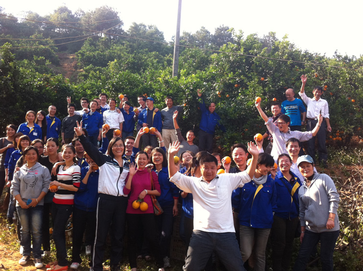 In 2012, the company organized and managed employees to experience the joy of picking navel oranges